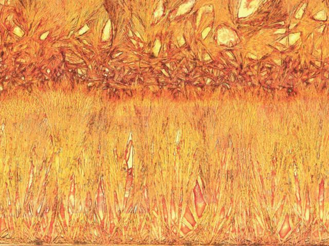 Self-assembled yellow crystals